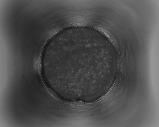 X0000093370677200711081525