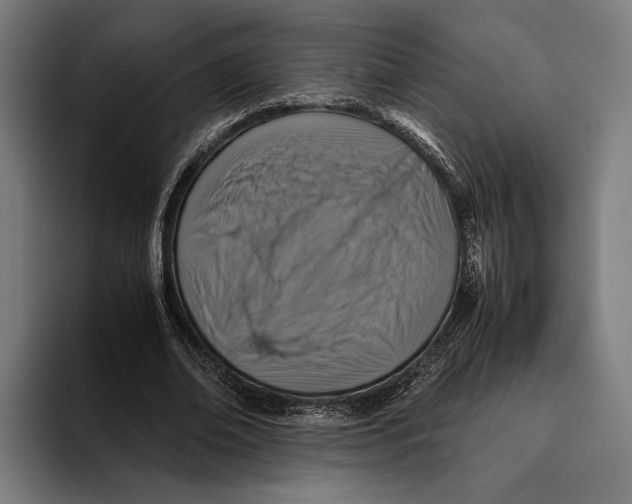 X0000093370678200711081525