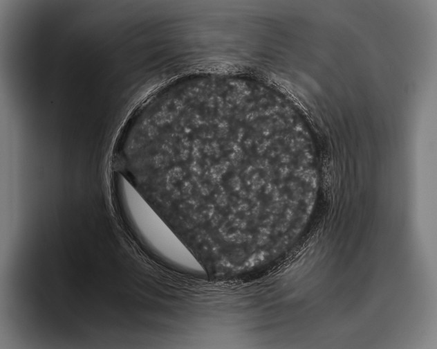 X0000093370679200711081525