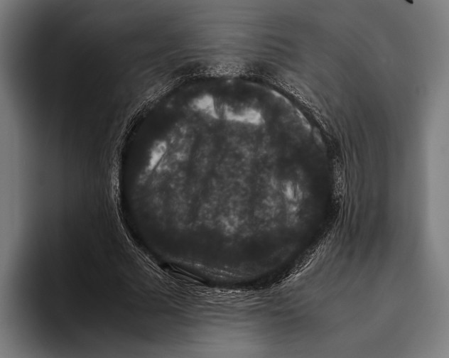 X0000093370681200711081525