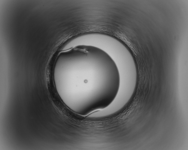 X0000093370683200711081525