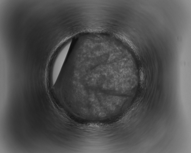 X0000093370684200711081525