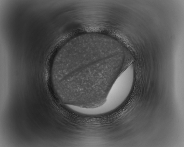 X0000093370687200711081525