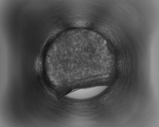 X0000093370688200711081525