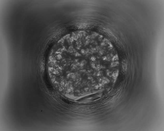 X0000093370691200711081525