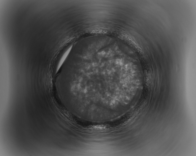 X0000093370692200711081525