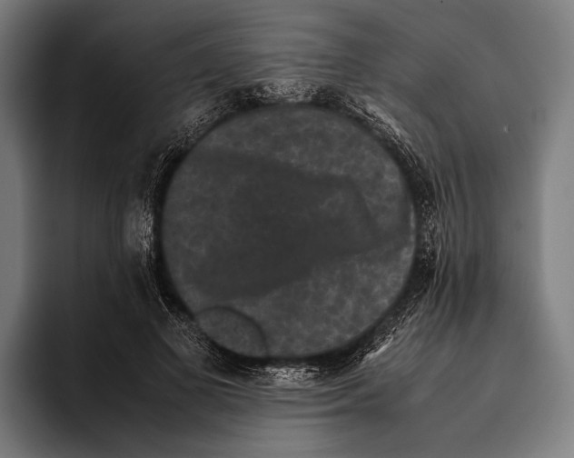X0000093370693200711081525