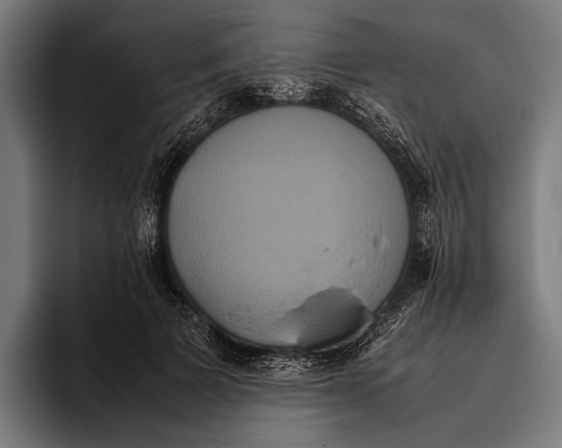 X0000093370697200711081525