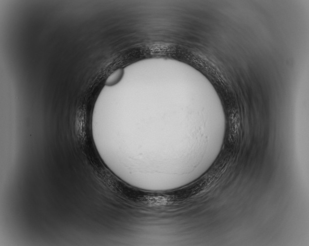 X0000093370698200711081525