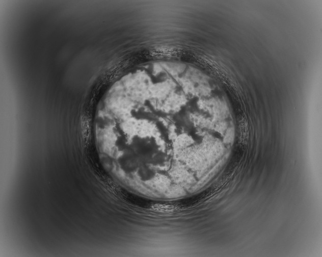 X0000093370699200711081525