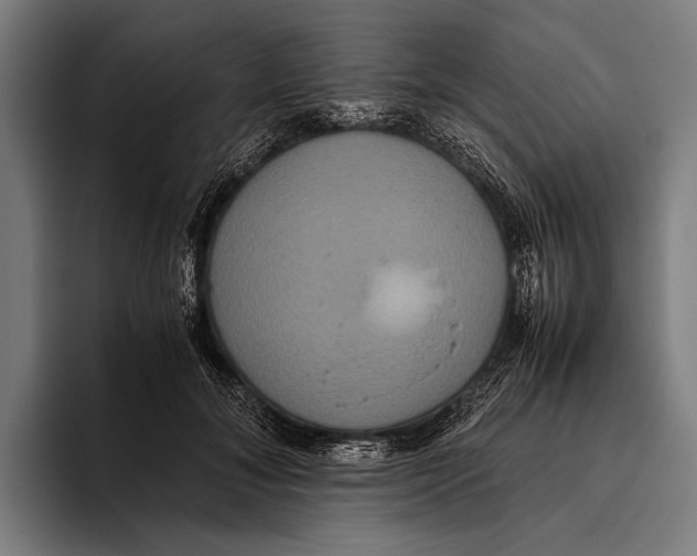 X0000093370700200711081525