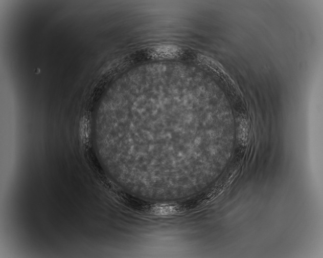 X0000093370701200711081525