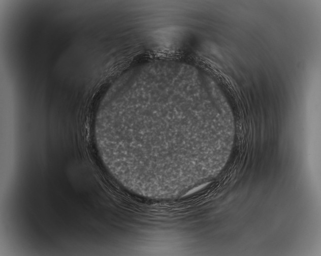 X0000093370703200711081525