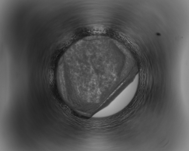 X0000093370704200711081525