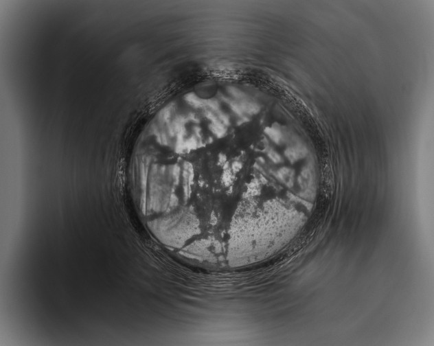 X0000093370707200711081525