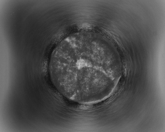 X0000093370708200711081525