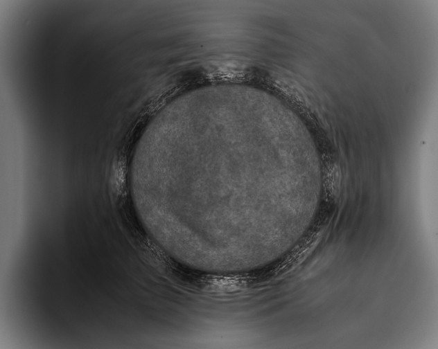 X0000093370709200711081525