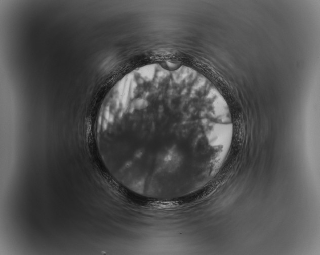 X0000093370711200711081525