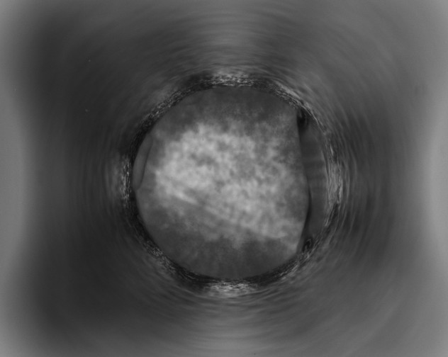 X0000093370712200711081525