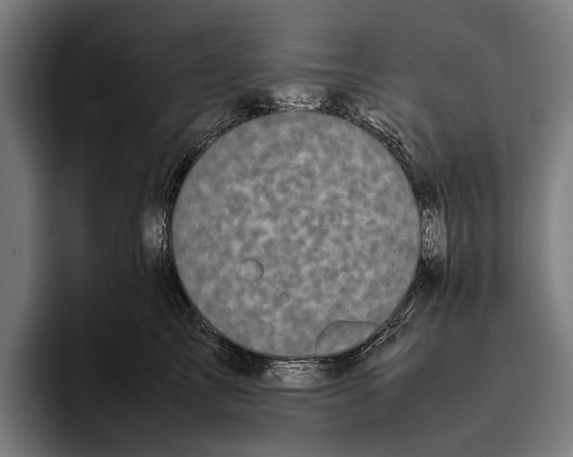 X0000093370713200711081525