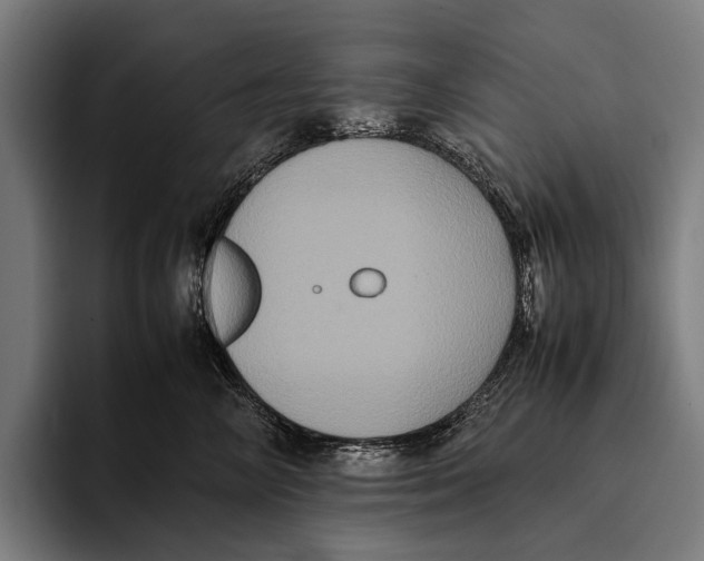 X0000093370714200711081525
