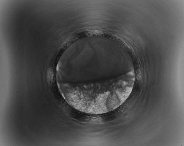 X0000093370715200711081525
