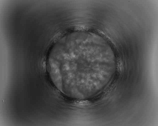 X0000093370716200711081525