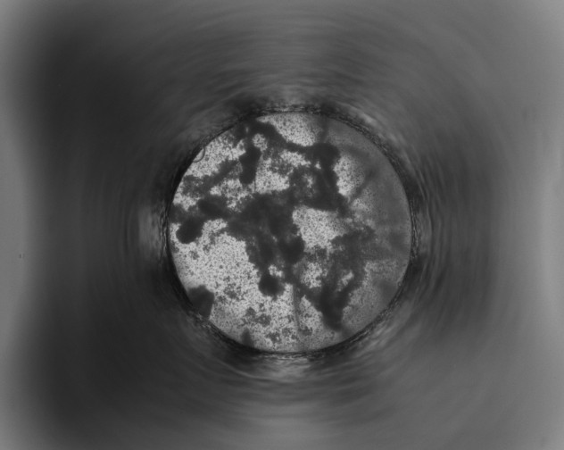X0000093370719200711081525