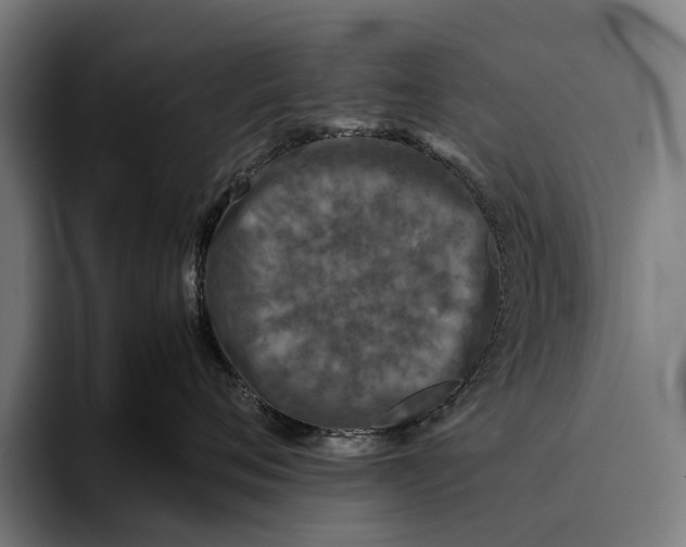 X0000093370720200711081525