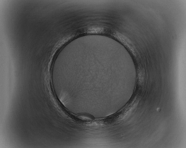 X0000093370721200711081524