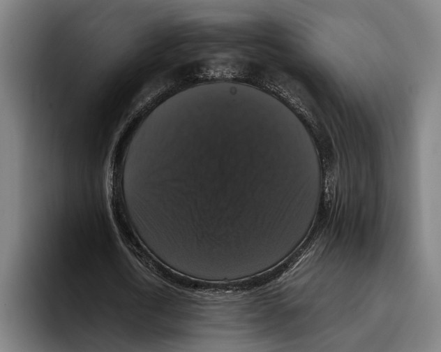 X0000093370722200711081524