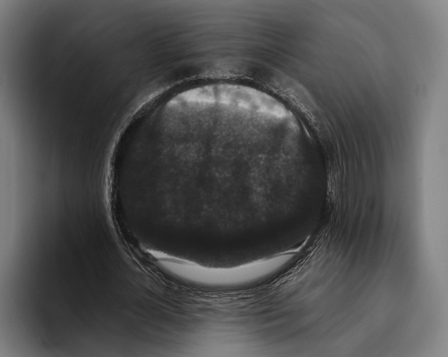 X0000093370724200711081524