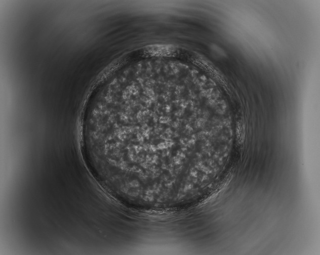 X0000093370725200711081524