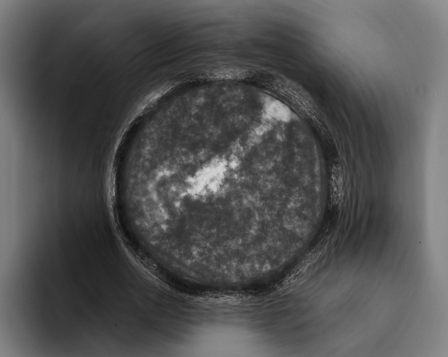 X0000093370726200711081524