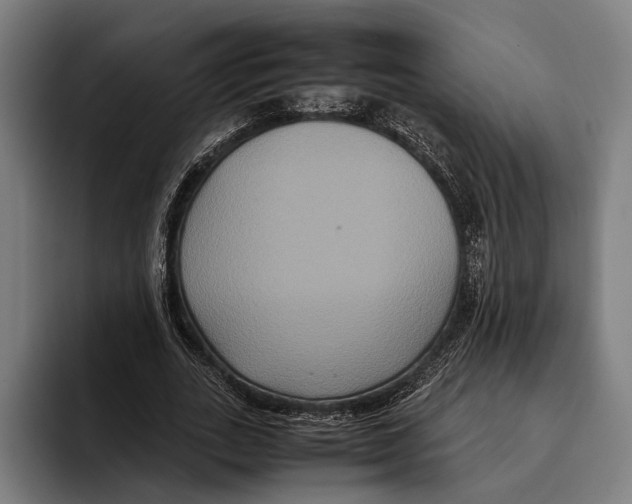 X0000093370727200711081524