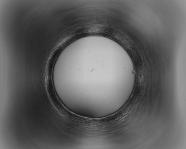 X0000093370728200711081524