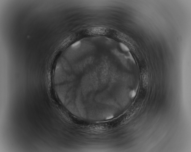 X0000093370729200711081524