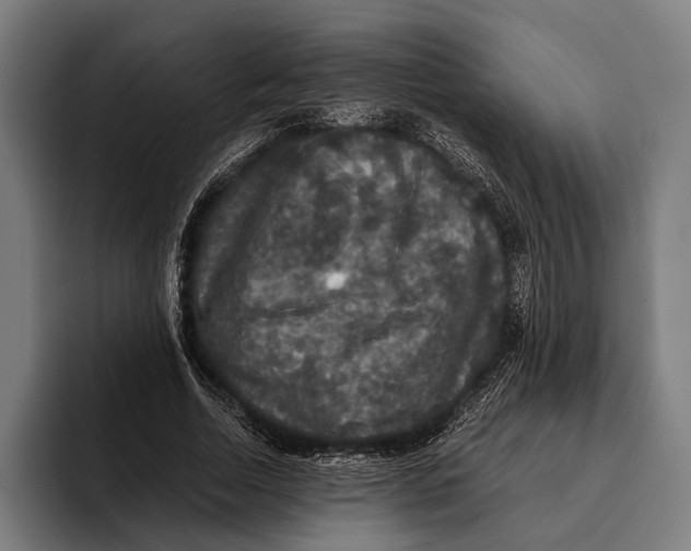 X0000093370730200711081524