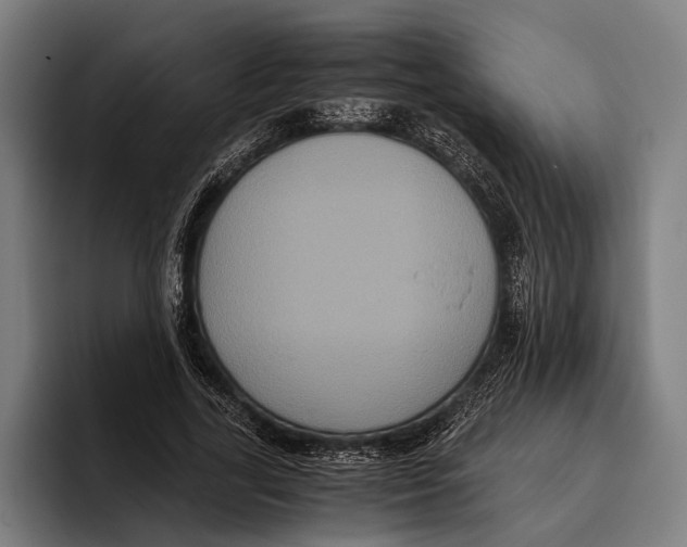 X0000093370731200711081524