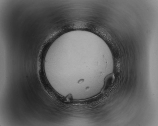 X0000093370732200711081524