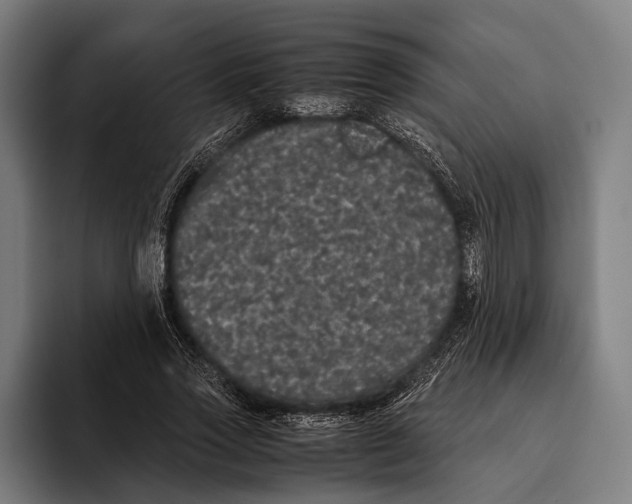 X0000093370733200711081524
