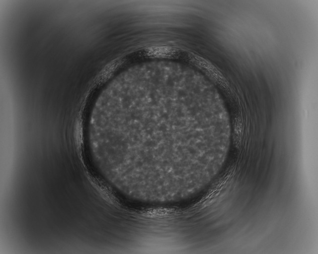 X0000093370734200711081524