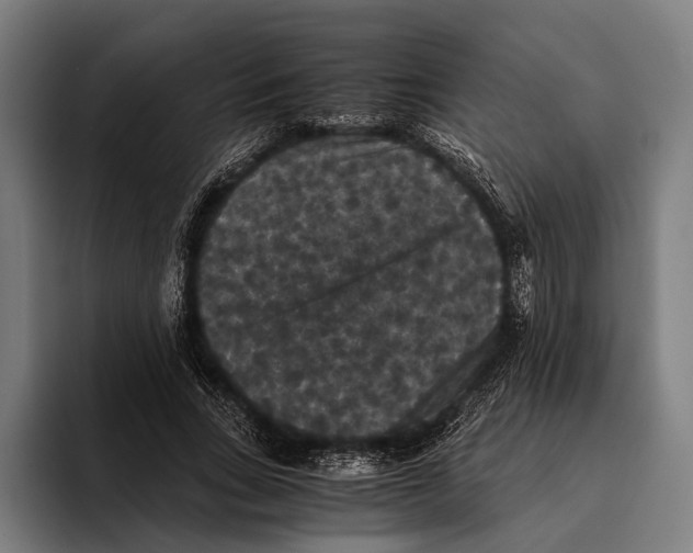 X0000093370735200711081524