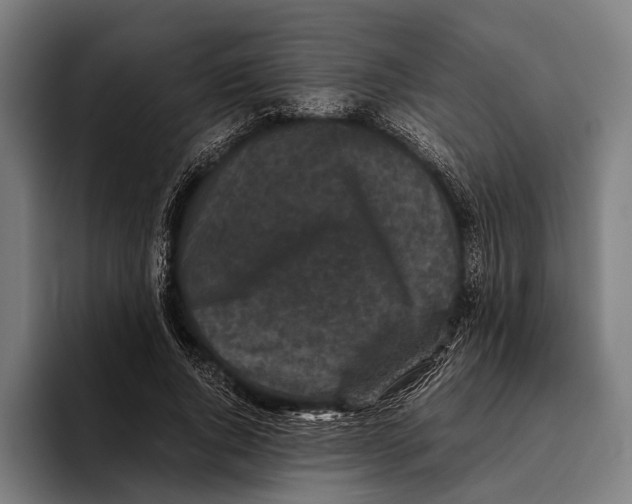 X0000093370736200711081524