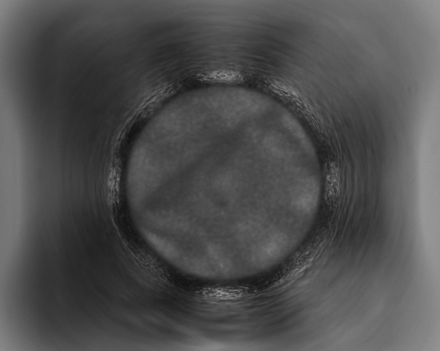 X0000093370739200711081524