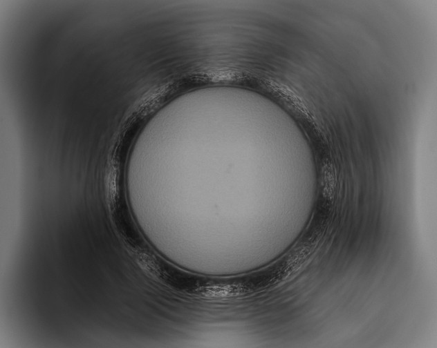 X0000093370740200711081524