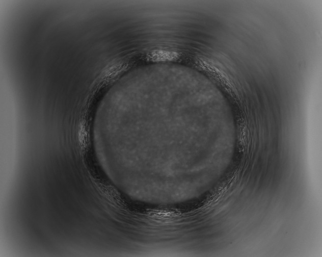 X0000093370743200711081524