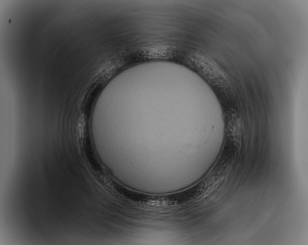 X0000093370744200711081524