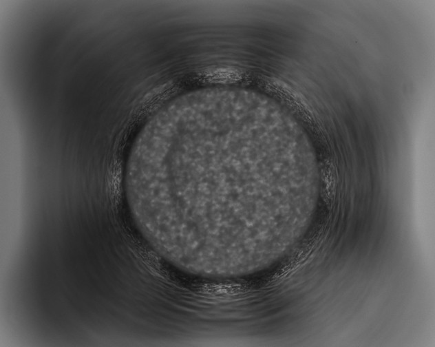 X0000093370745200711081524