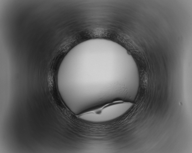 X0000093370746200711081524